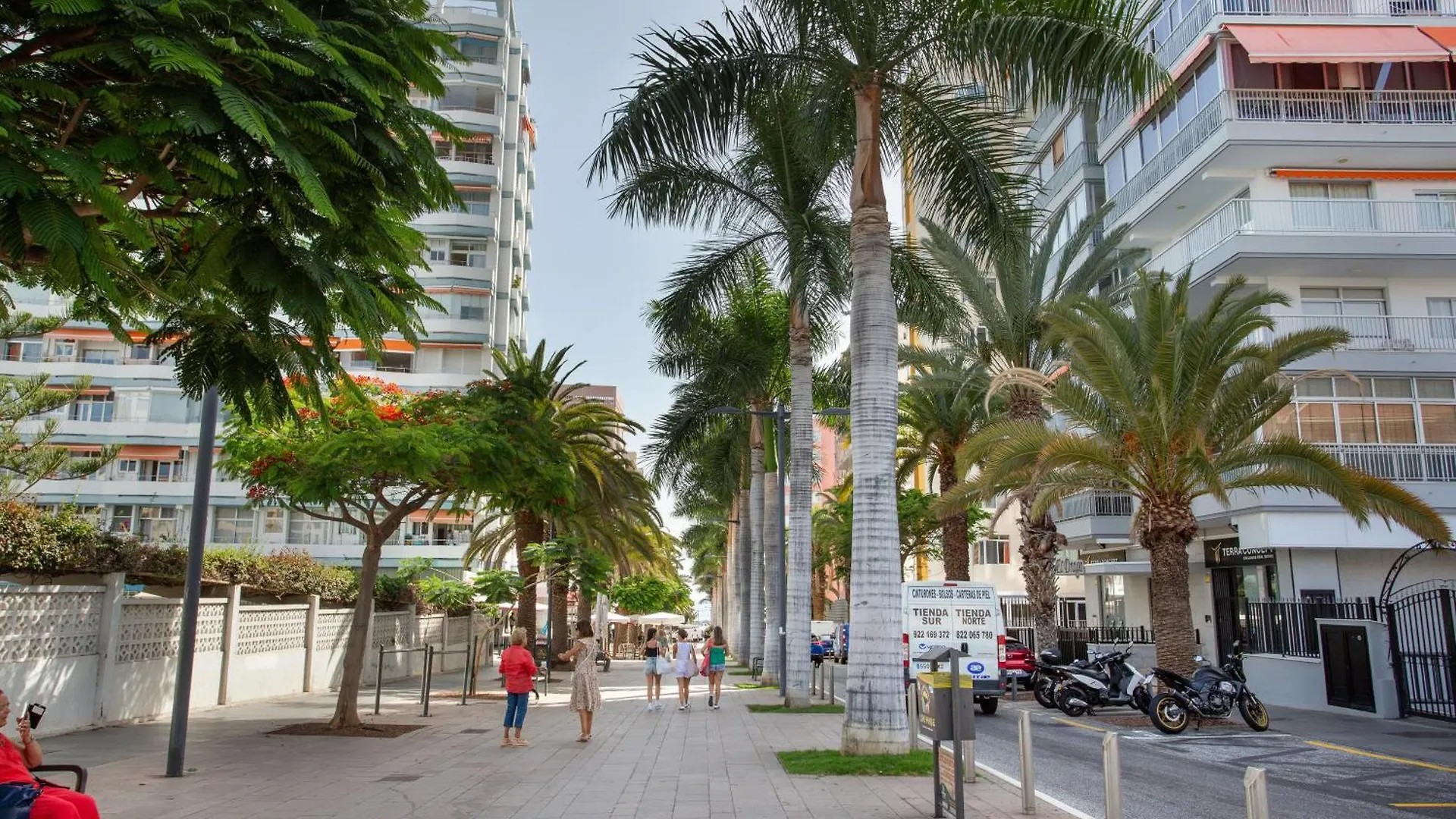 Apartamento Nelale Puerto de la Cruz  Puerto de la Cruz (Tenerife)